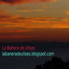 embed image