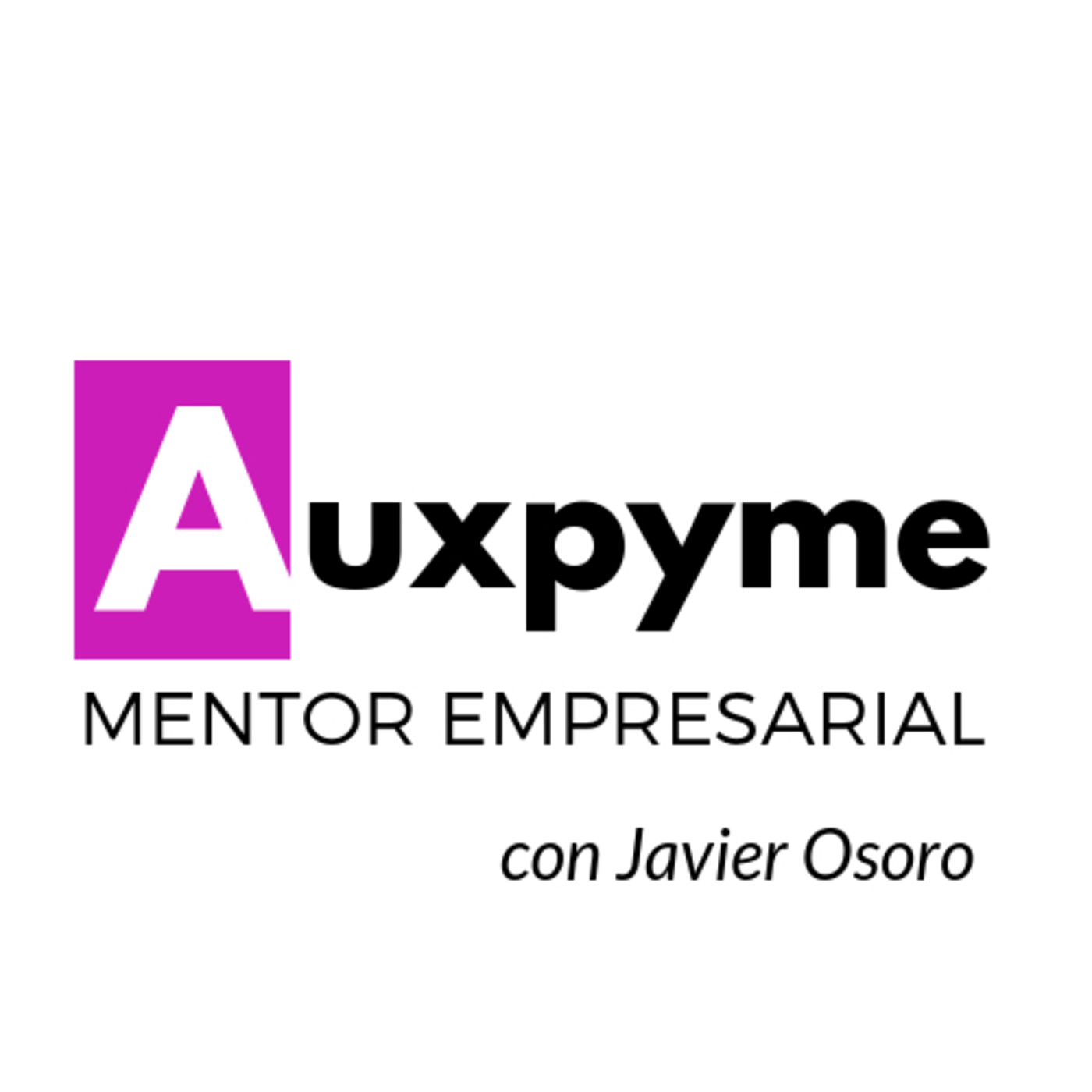 AUXPYME MENTOR EMPRESARIAL