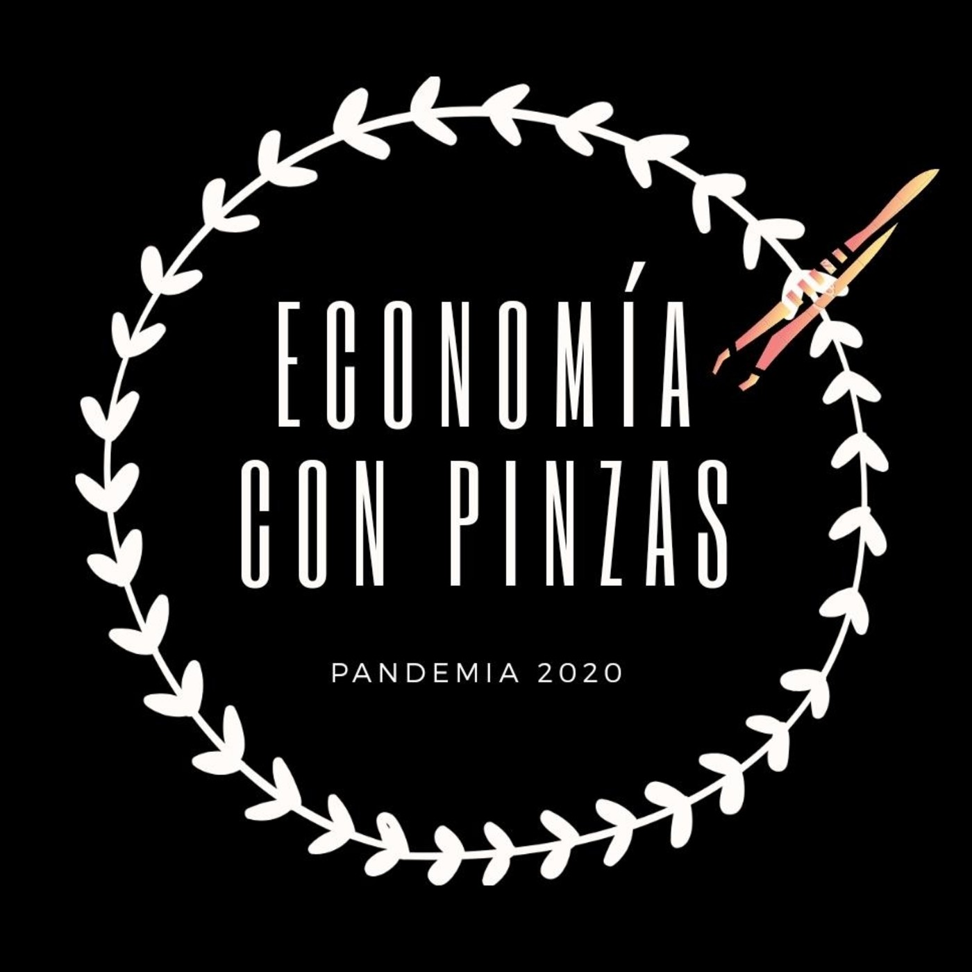 ECONOMIA CON PINZAS
