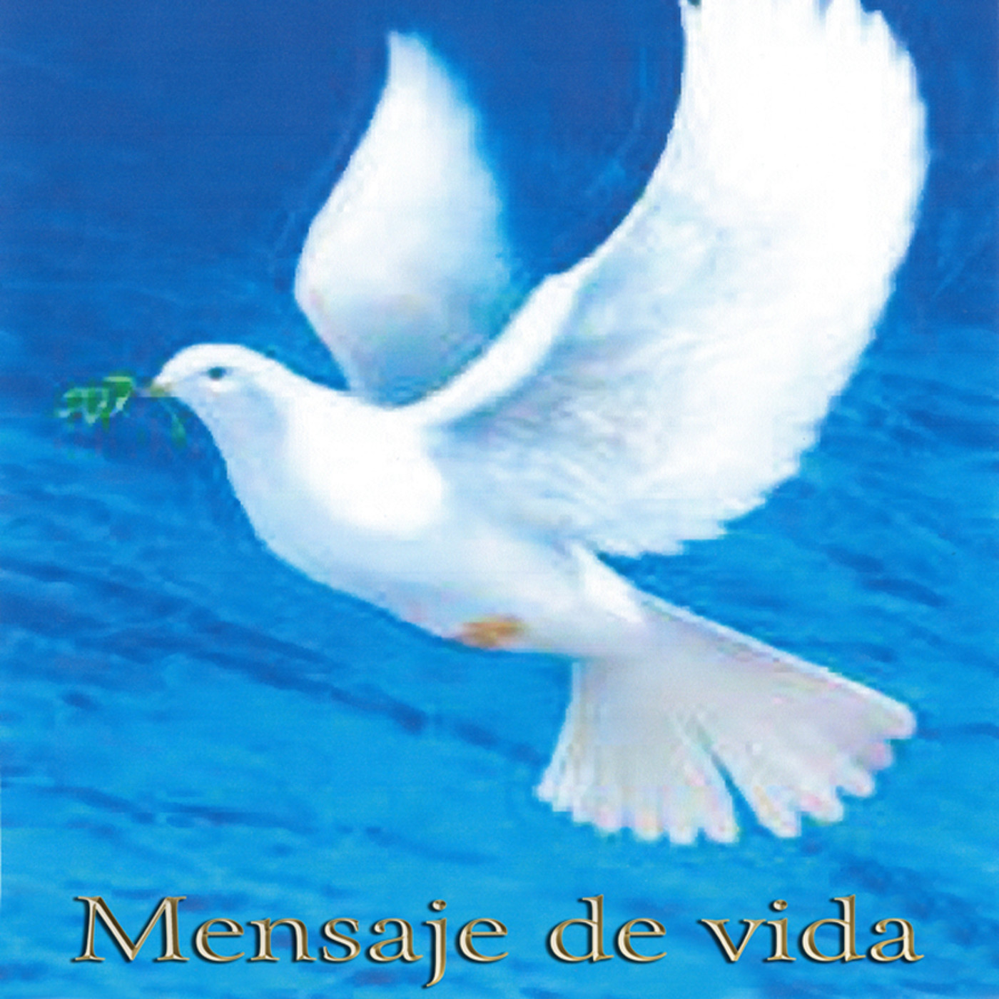 Predicaciones de los dias Martes