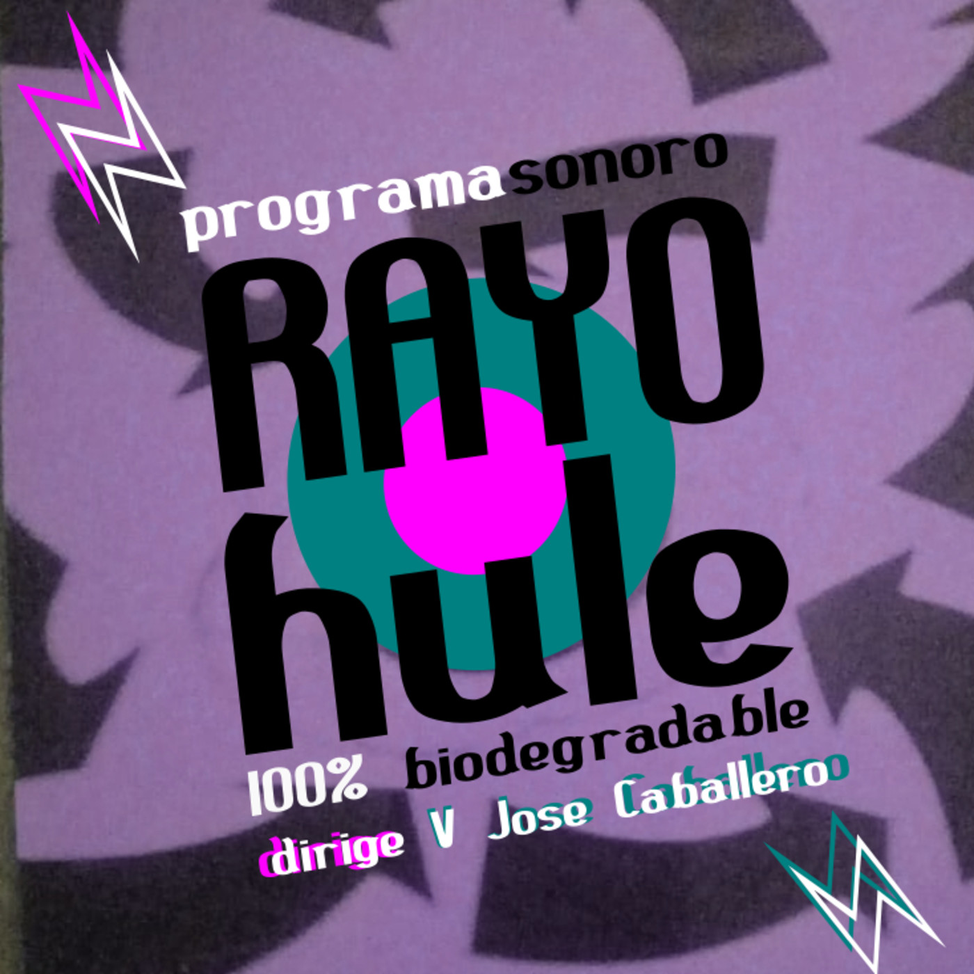 Rayo Hule #2