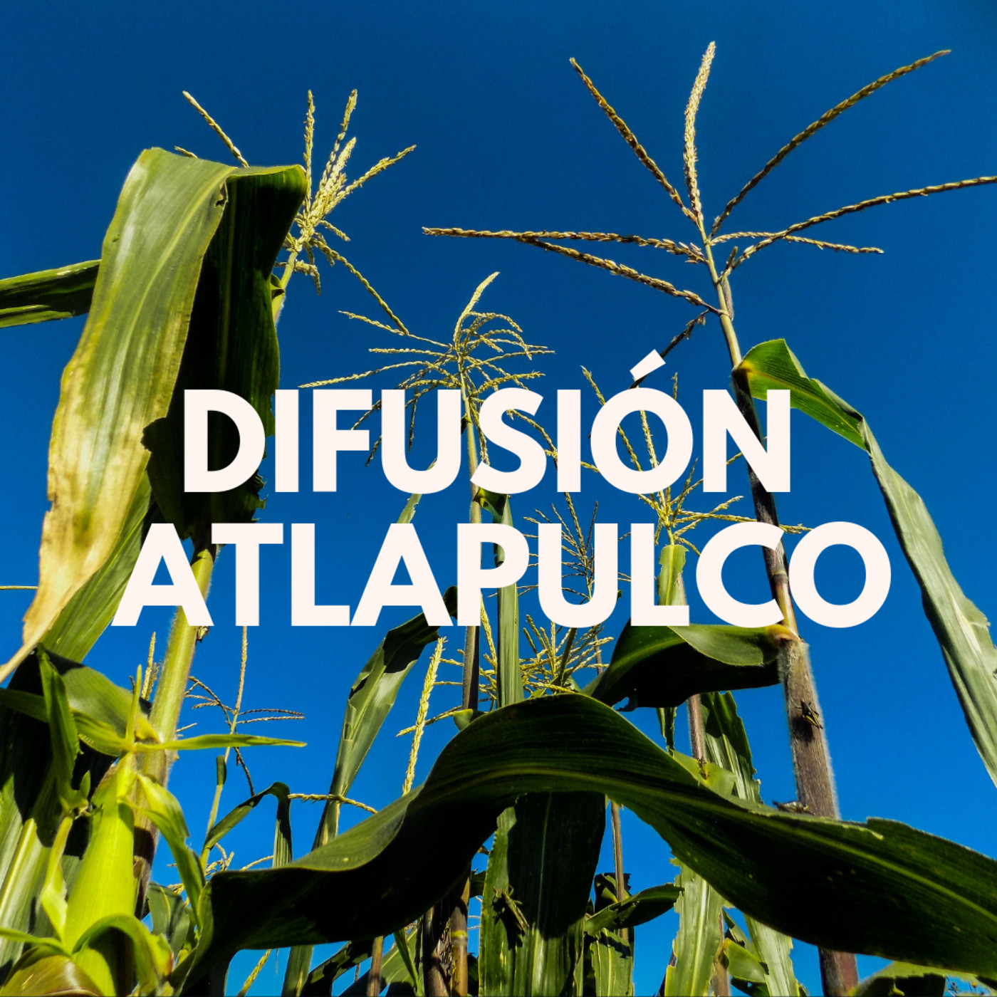 Difusión Atlapulco