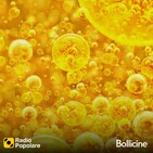 Bollicine di dom 25/08 (seconda parte)