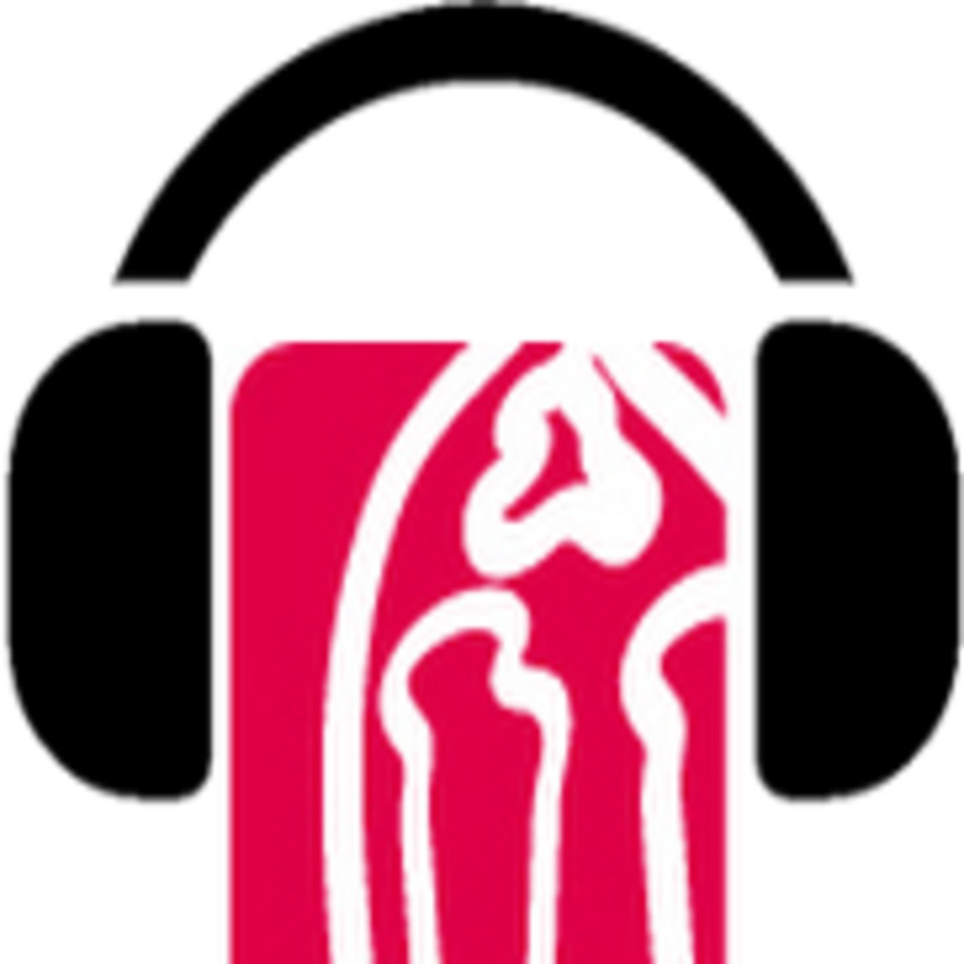 gòTIC Ràdio