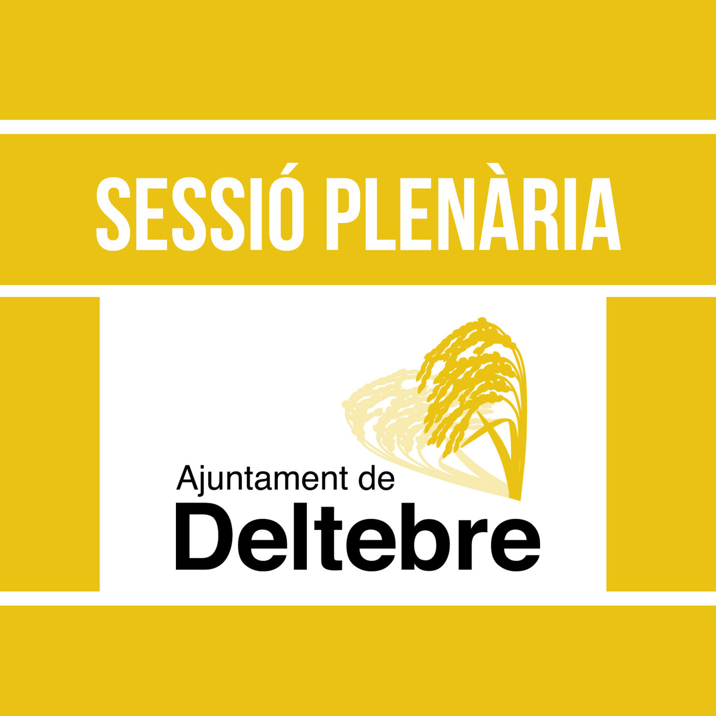 Sessió Plenària - Ajuntament de Deltebre