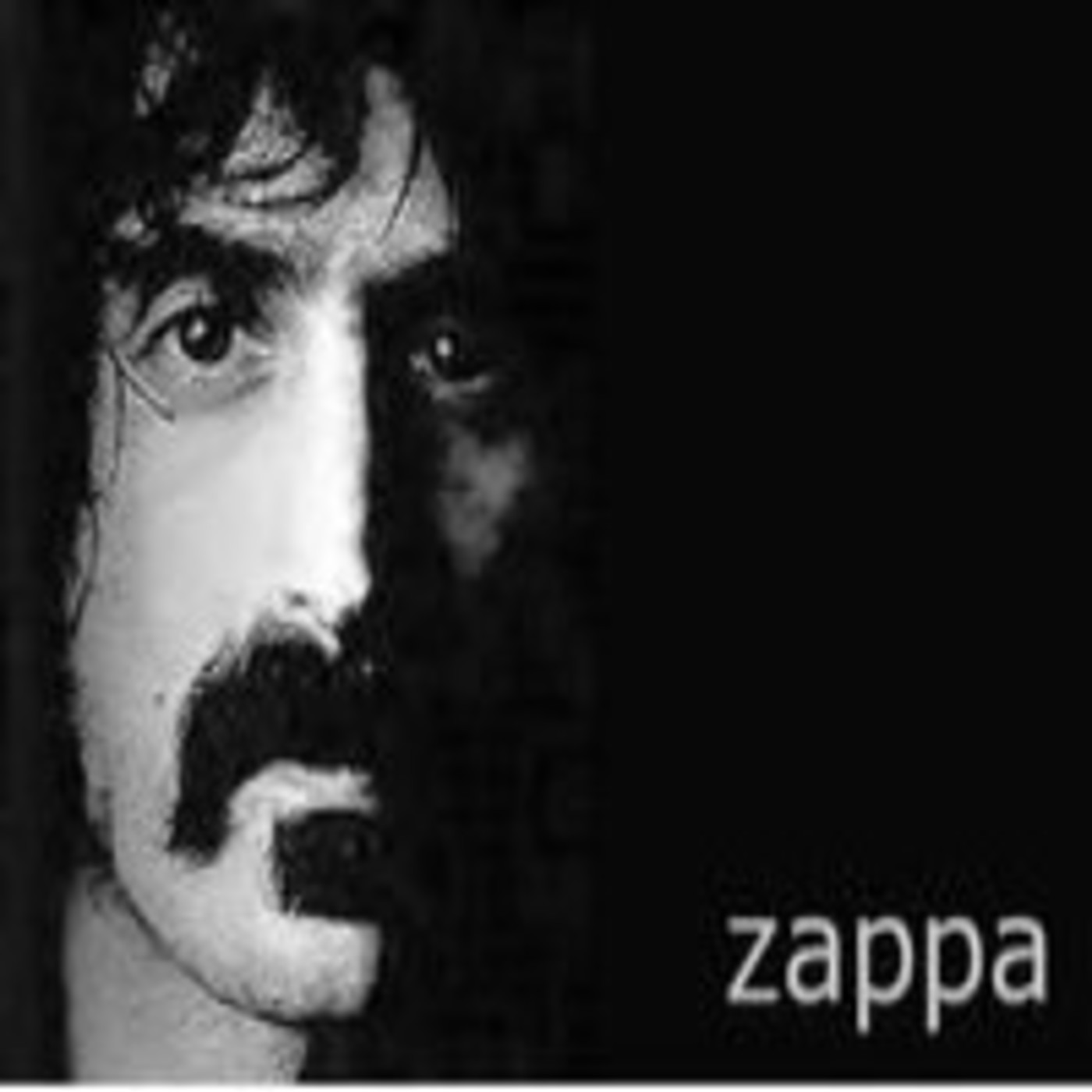 Pioneros - Frank Zappa - 9 de 16 — Frank Zappa - Pioneros - Radio3 - RNE cover
