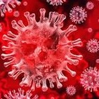 Mesetarios madrileños en el hospital torrecardenas de Almería-coronavirus
