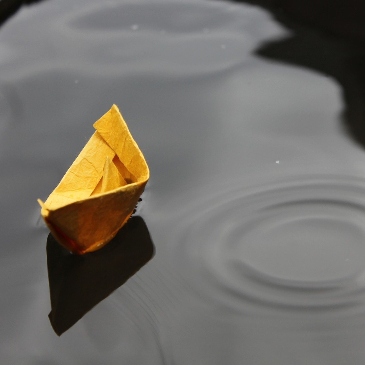 Navegando entre letras y fe