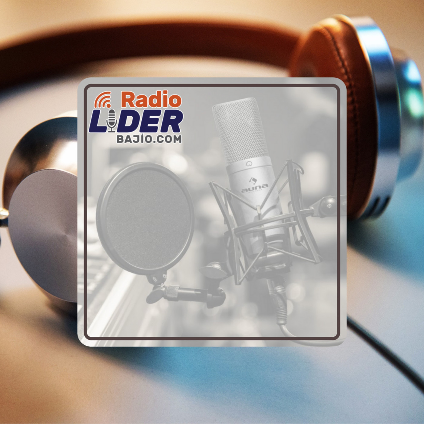 ENTRETENIMIENTO RADIO LÍDER BAJÍO