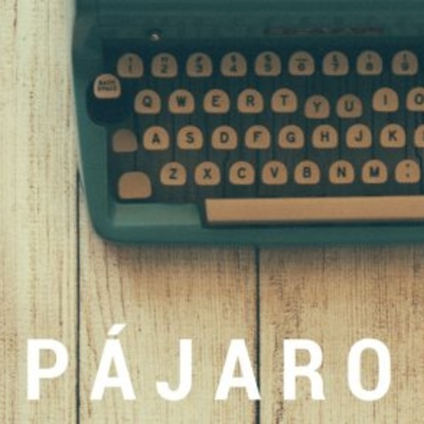 JL. Pájaro Pinto "Audioblog"