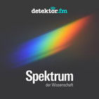 Spektrum-Podcast | Quantenphysik, Arktis, Regenerativmedizin - Turbulente Welt