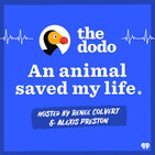 Introducing: An Animal Saved My Life