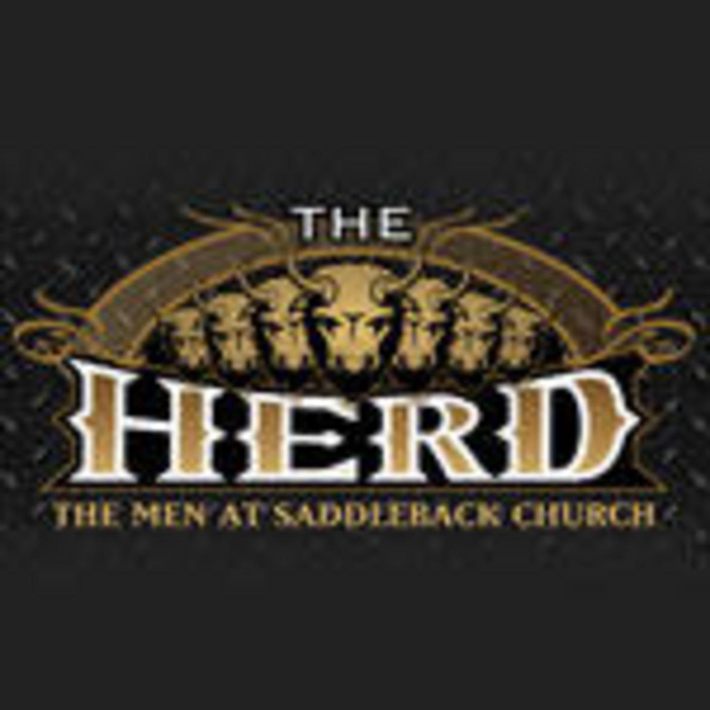 Saddleback Church: Saturday Men's Bible Study