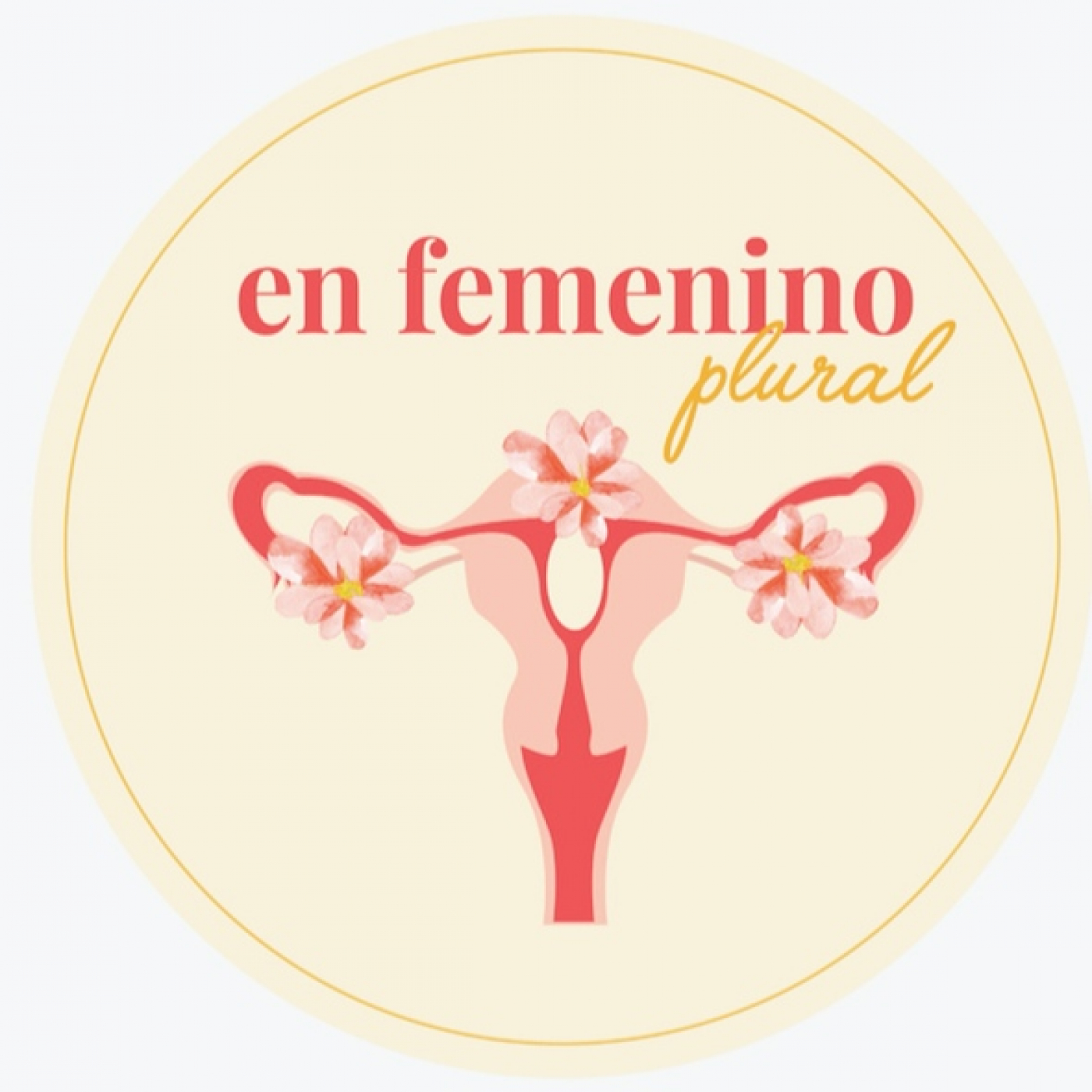 EN FEMENINO PLURAL
