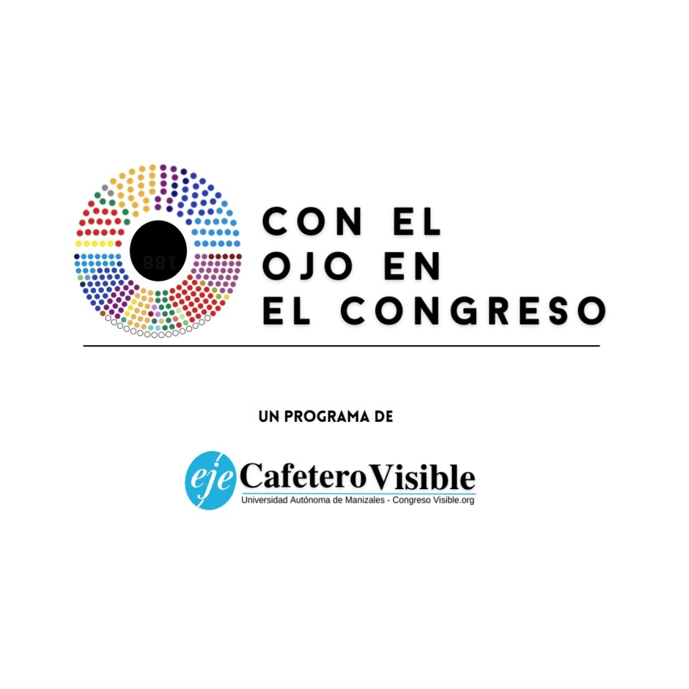 Con el Ojo en el Congreso