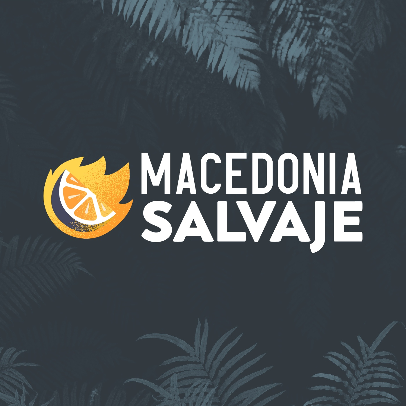 Macedonia Salvaje cover art