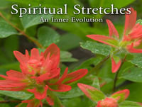 Episode 116, Fall Into Stillness