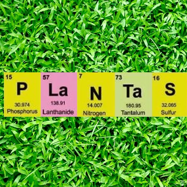 Podcast Fascinación por las plantas