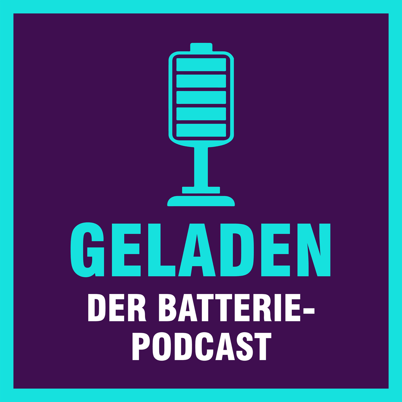 Prof. Fichtner & Prof. Heimes: Förderstopp für die Batterieforschung