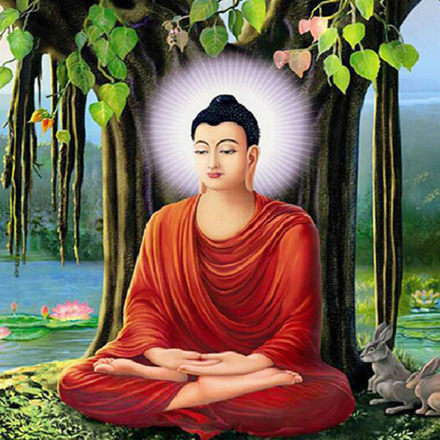 Meditación Paso a Paso