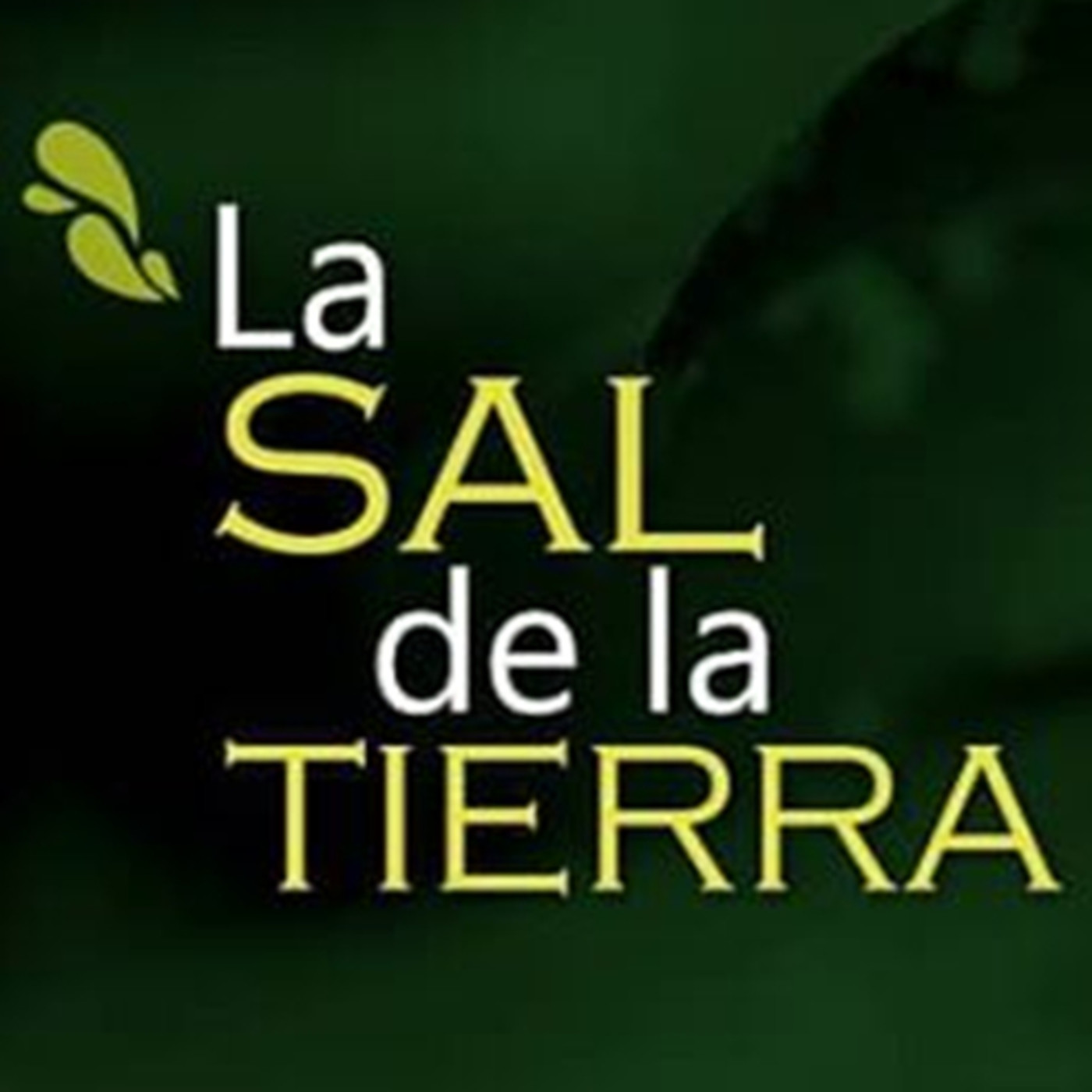 La Sal de la Tierra