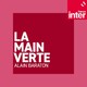 Le curcuma