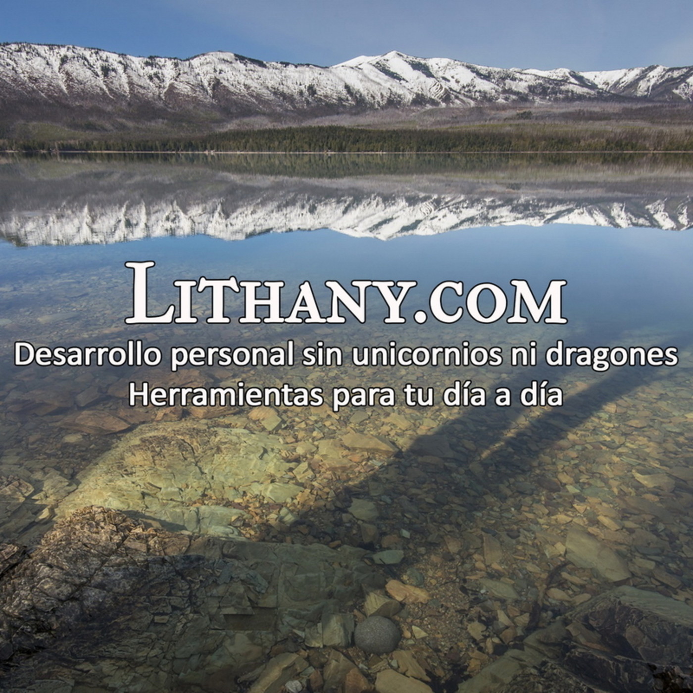 Lithany Coach - Servicios