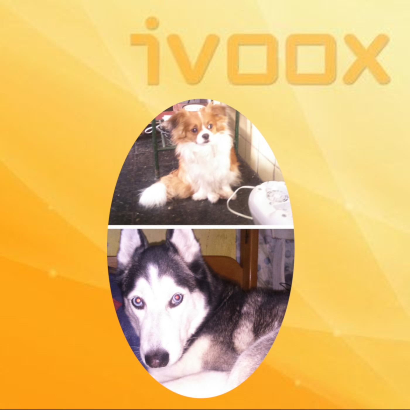 05-06-2019 - 05-12-2019 - Chiki & Bella Podcast