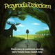 Przyroda Dzieciom #8: Nad morzem