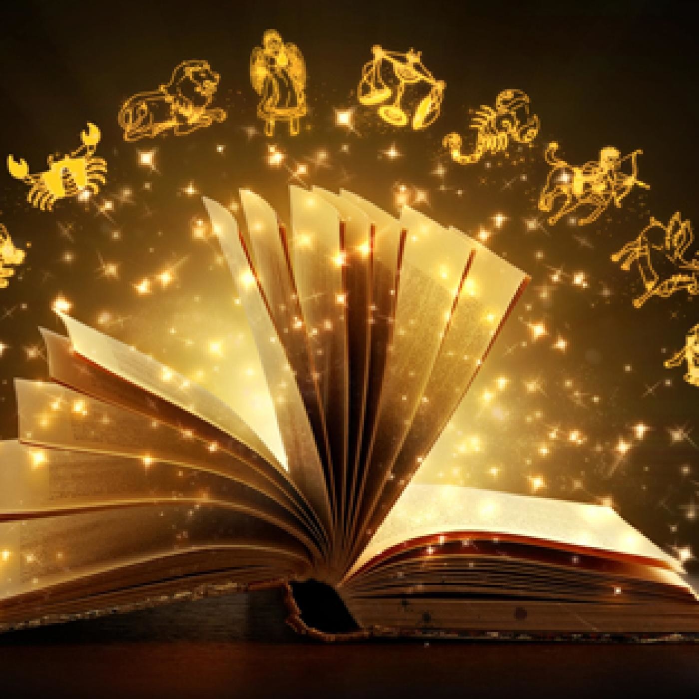 MUNDO LIBRO