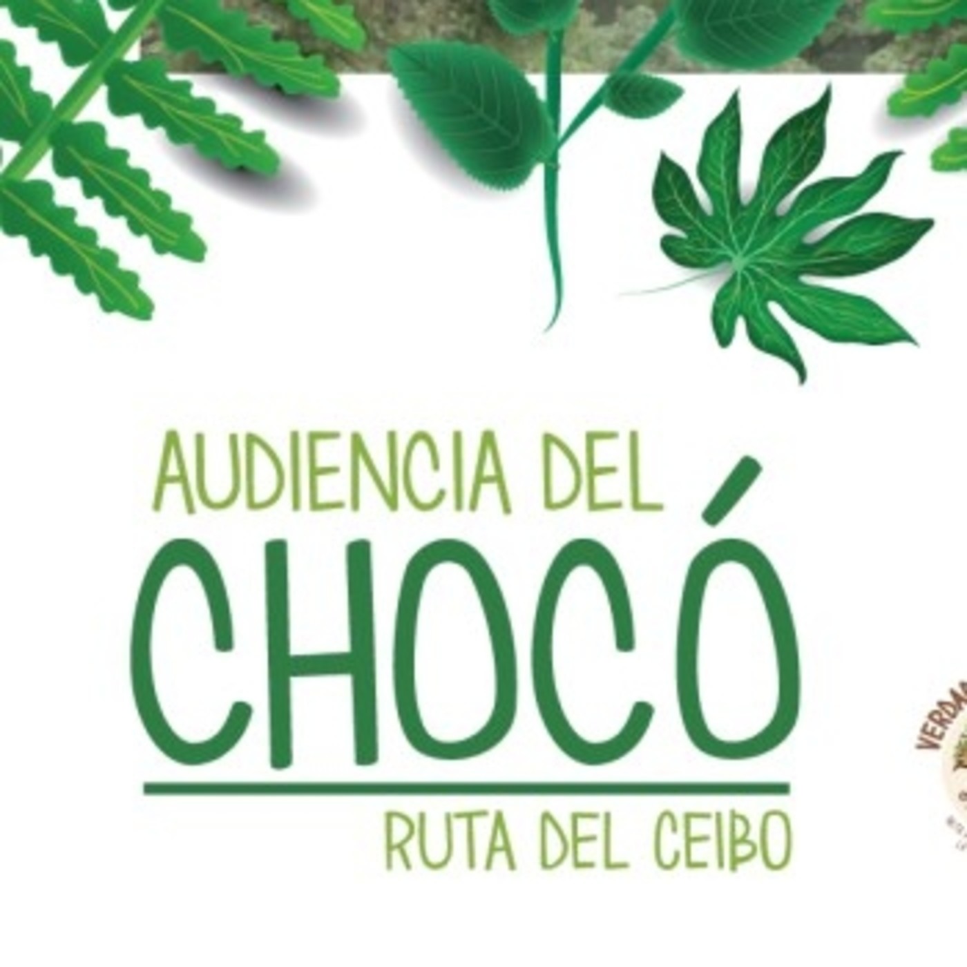 Audiencia del Chocó