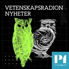 Nyheter från Vetenskapsradion 2020-07-01 kl. 06.34