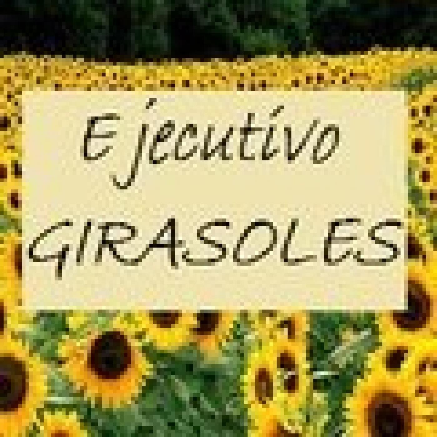 Ejecutivo Girasoles.Amanda del Valle-Ceci Berriolo