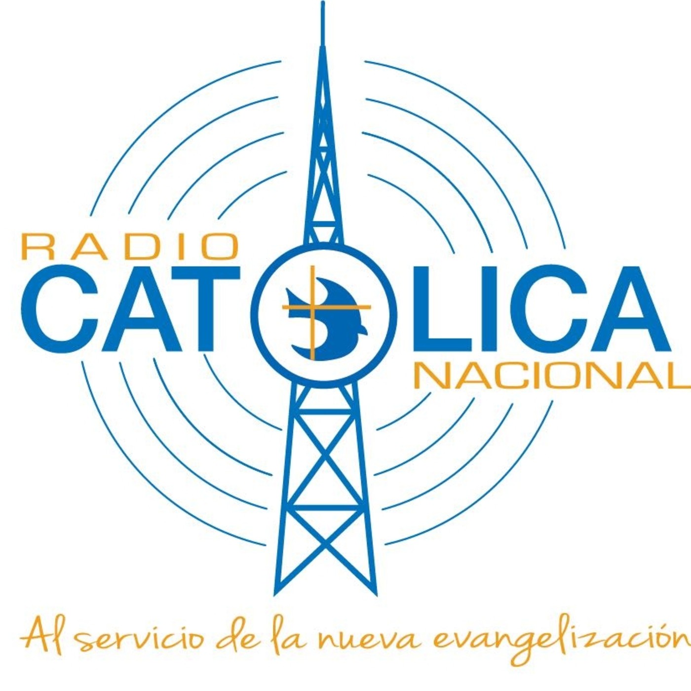  Con la Biblia en mano 