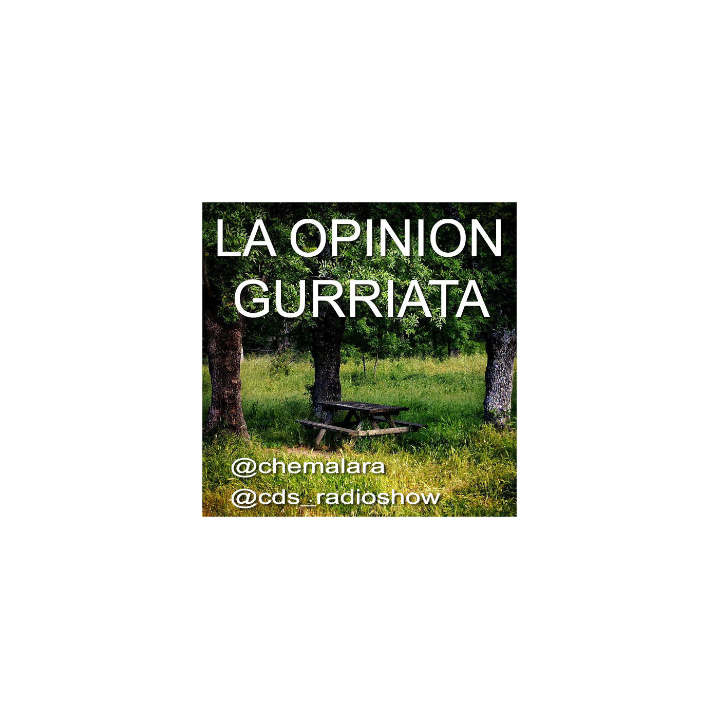 La opinión gurriata