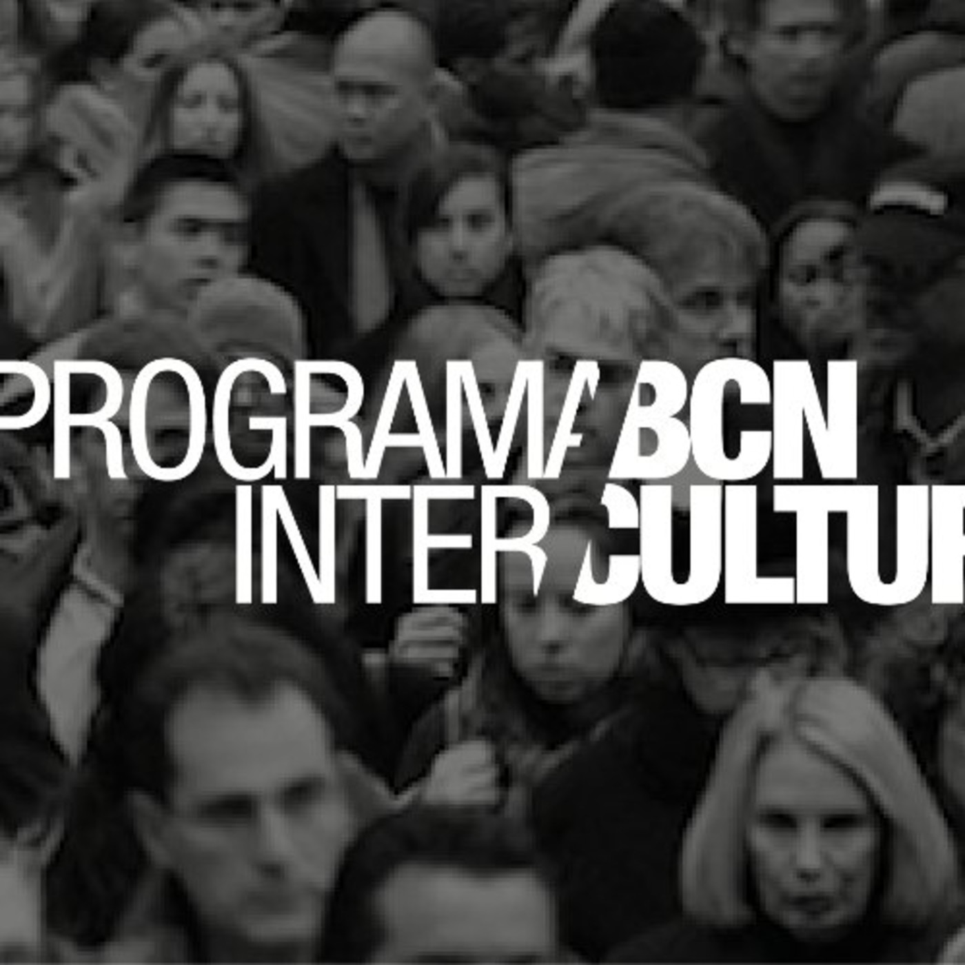 Connexió Intercultural