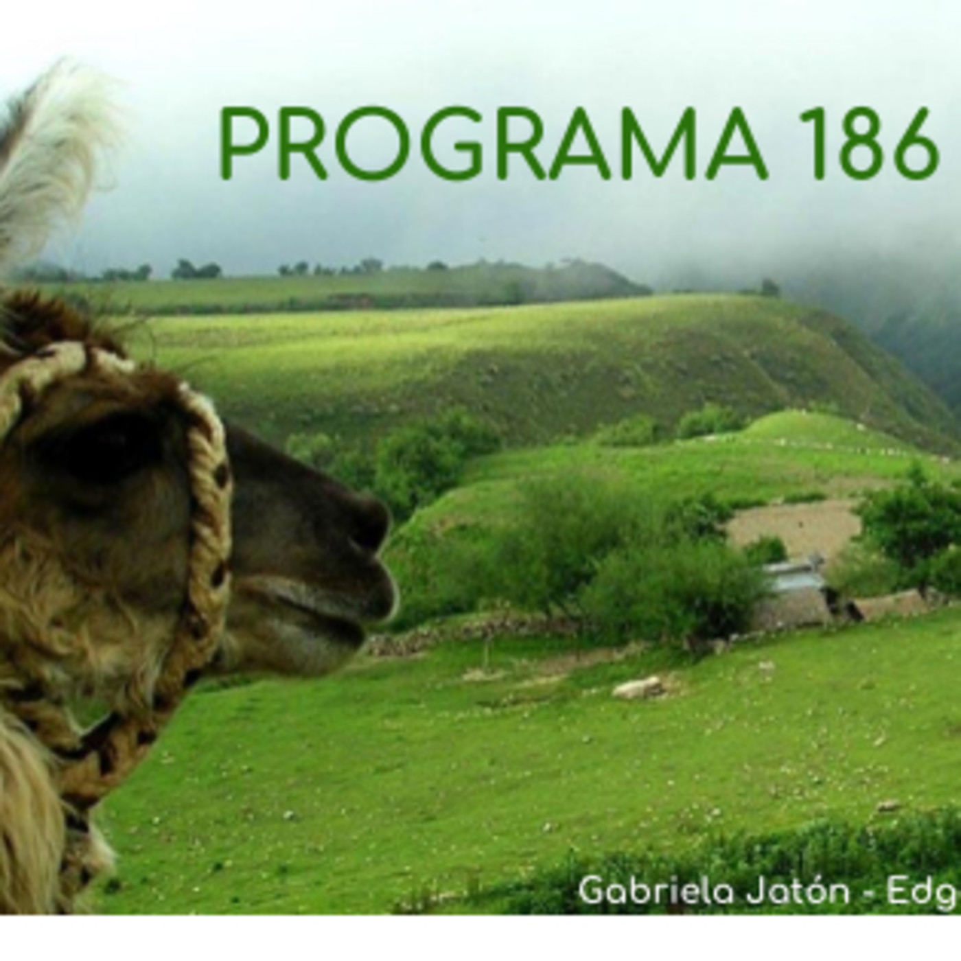 Viajero Frecuente Radio - Programa 186