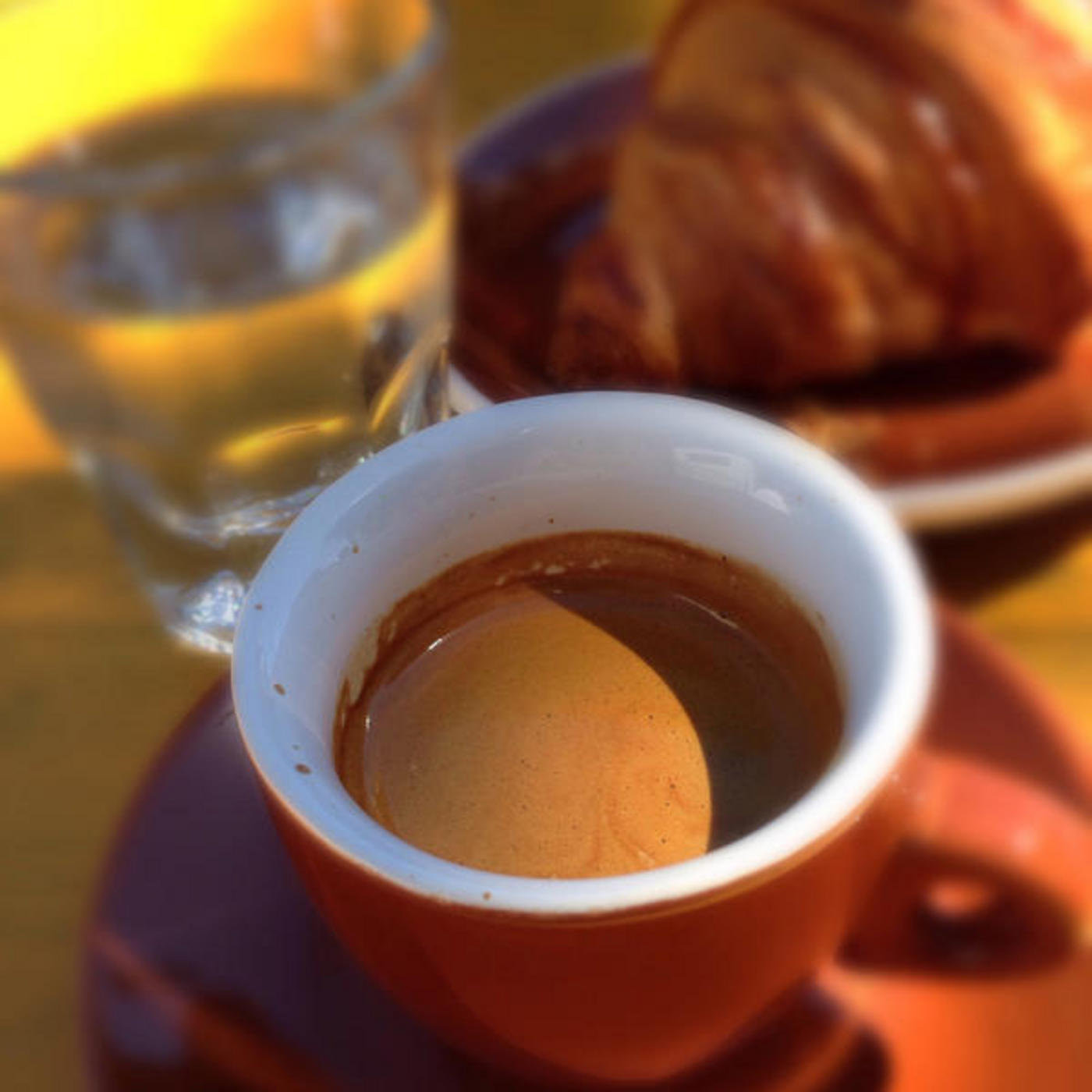 ???????Cafe Stella?????????