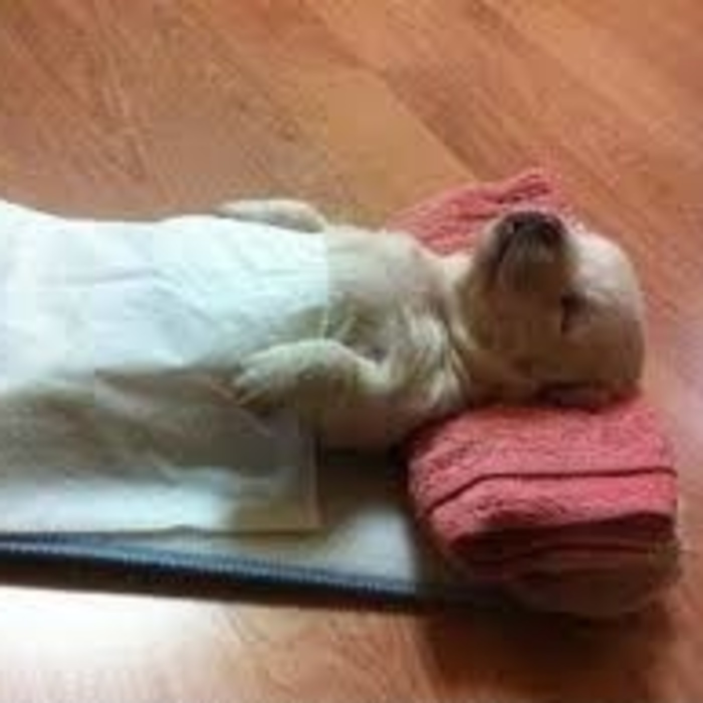 Sesiones de Yoga Nidra