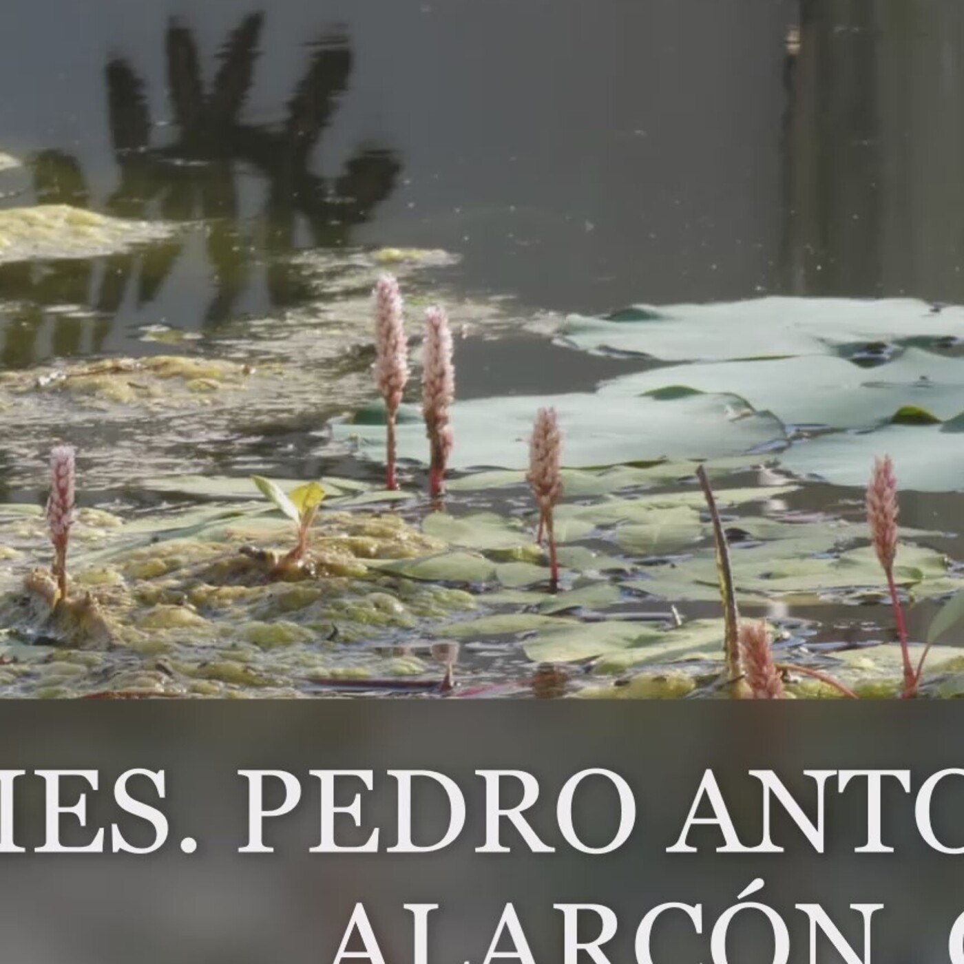 Ven al Pedro Antonio de Alarcón