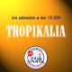 Tropikalia-25-01-2020