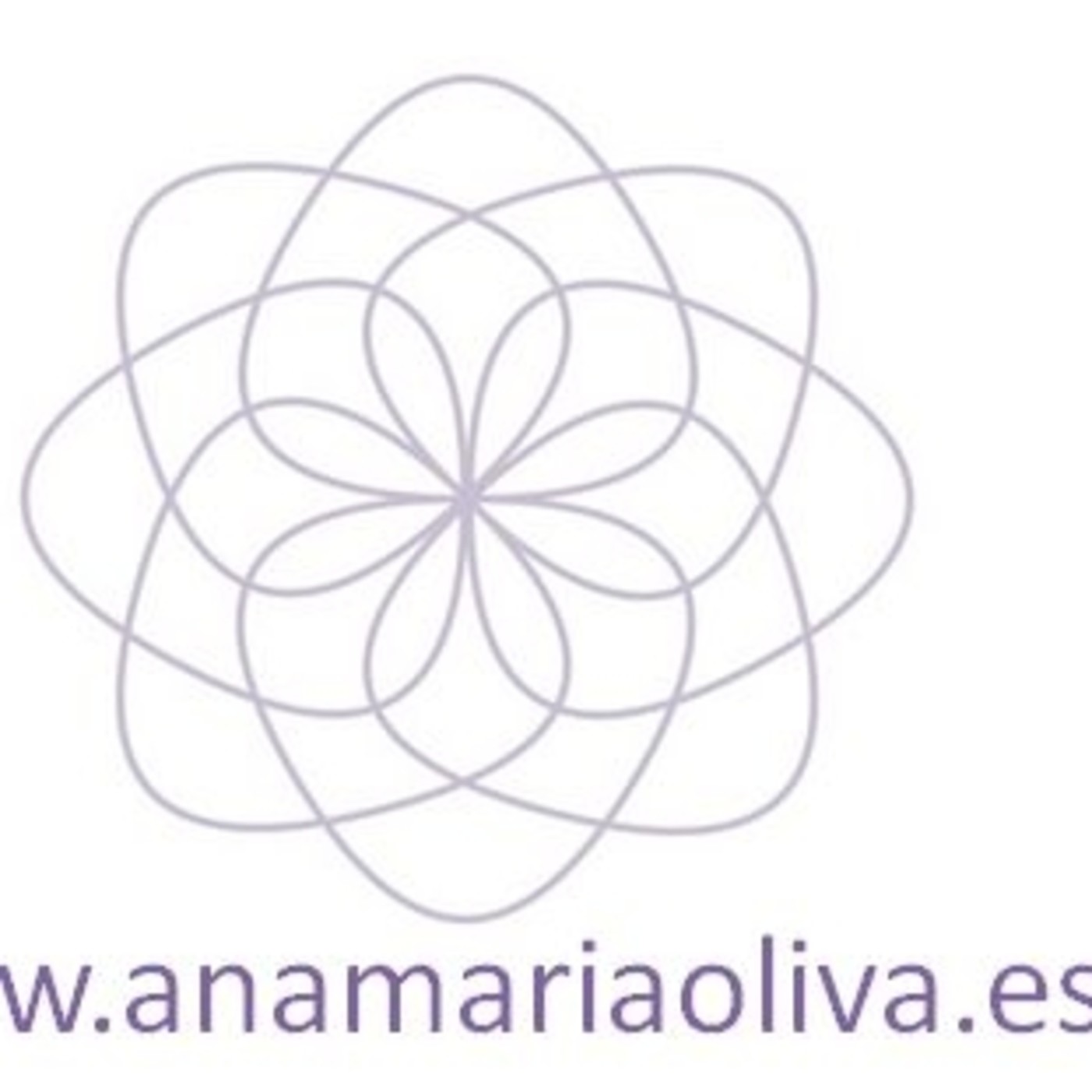 AUDIOS DE CONFERENCIAS