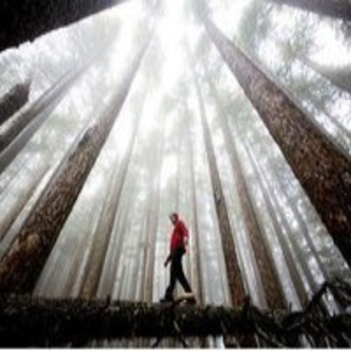 Podcast Senderos de Eternidad