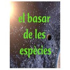 Josep Igual · «Quaderns deltaics»