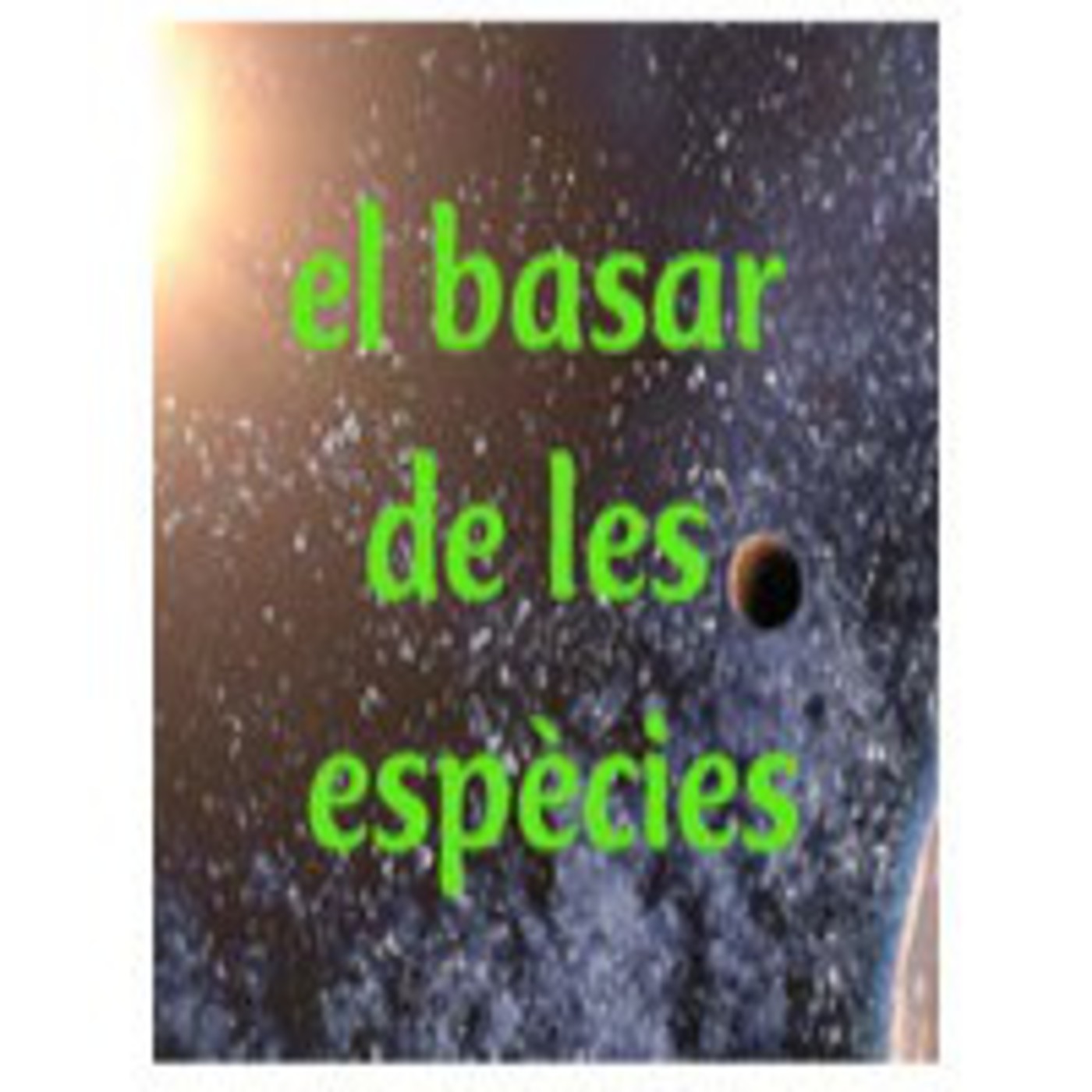 Josep Igual · «Quaderns deltaics»