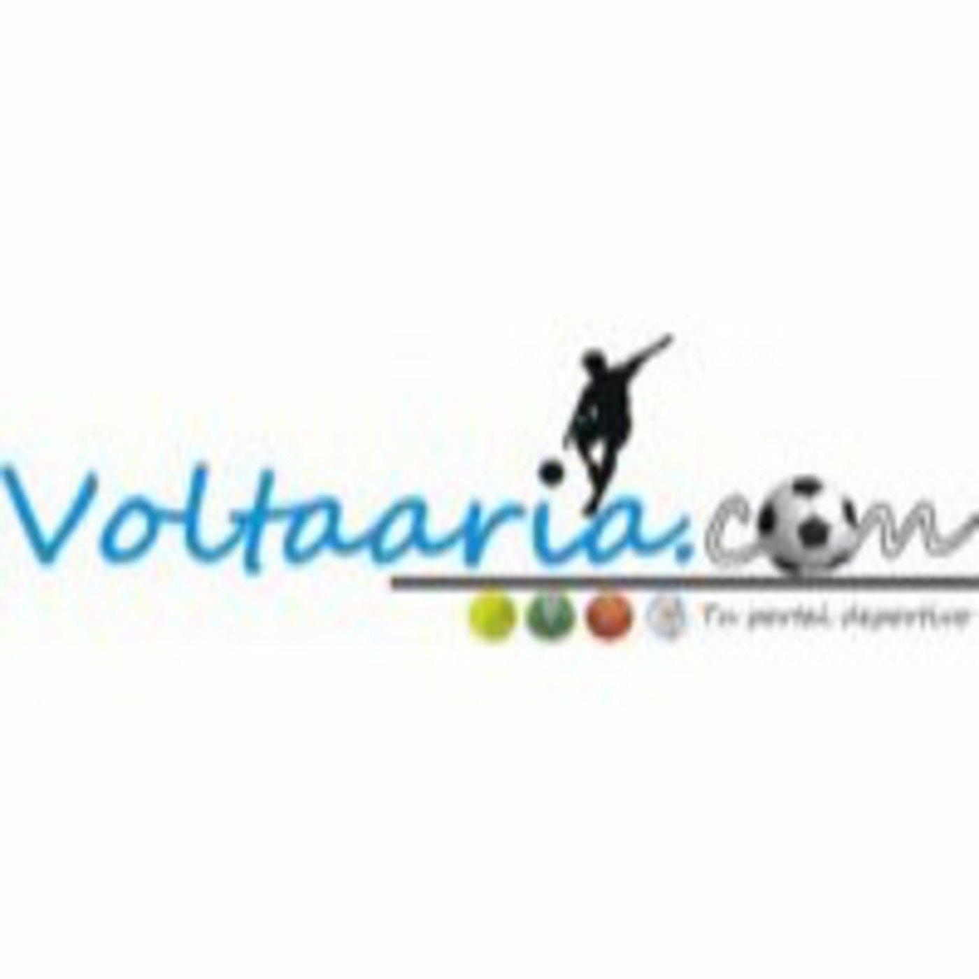 voltaaria.com