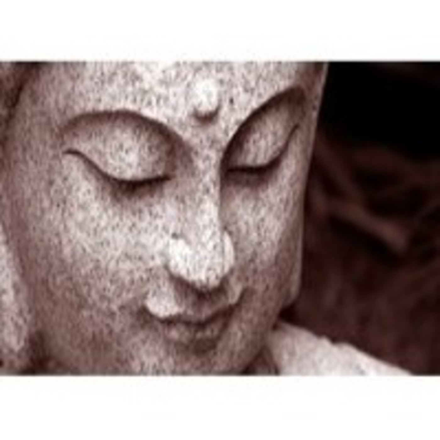 ¿Por qué quiero ser Bodhisattva? Enseñanzas sobre la Vía del Bodhisattva