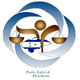 embed image