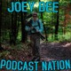 Winter Bird Feeders – Podcast #241