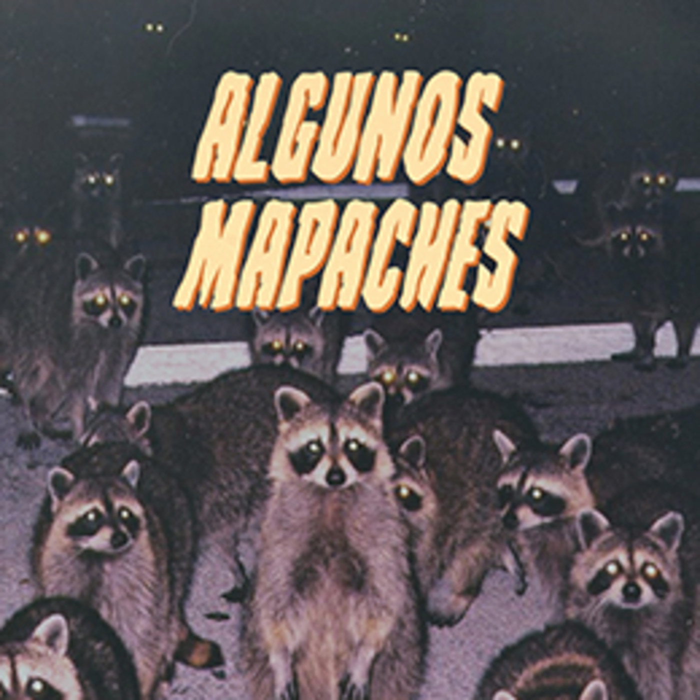 Algunos Mapaches